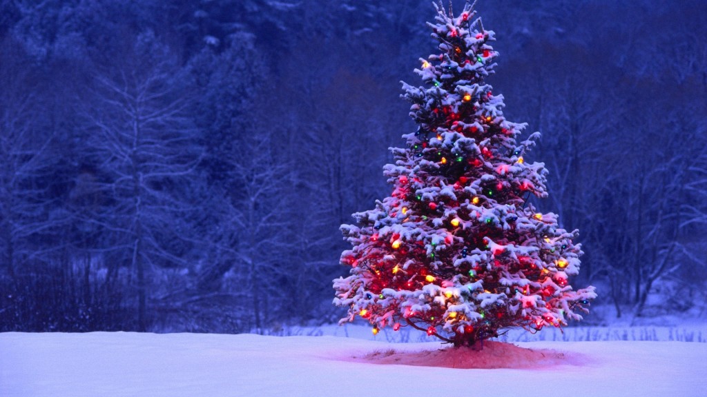 Christmas Tree in Snow 1024x576 1
