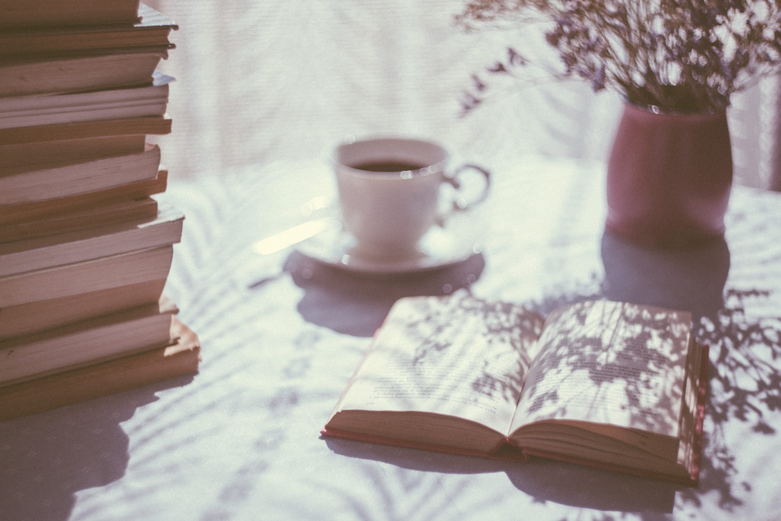 Book Club: Our 2021 Quarantine Reading Recommendations 1 Book Club